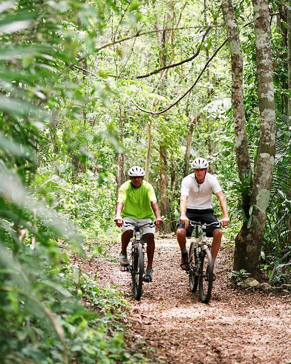 Alapocas Run State Park