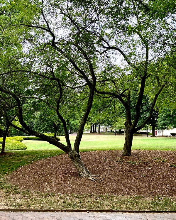 H. Fletcher Brown State Park