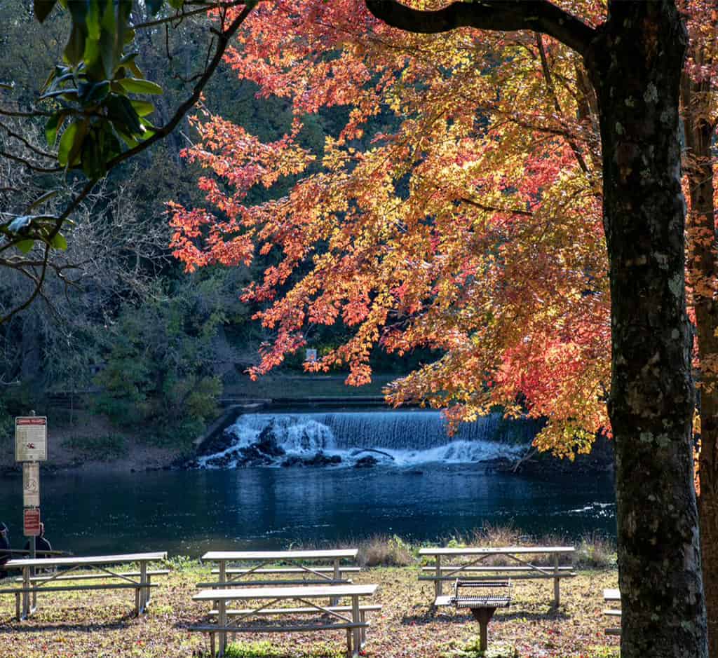 Brandywine Park Fall