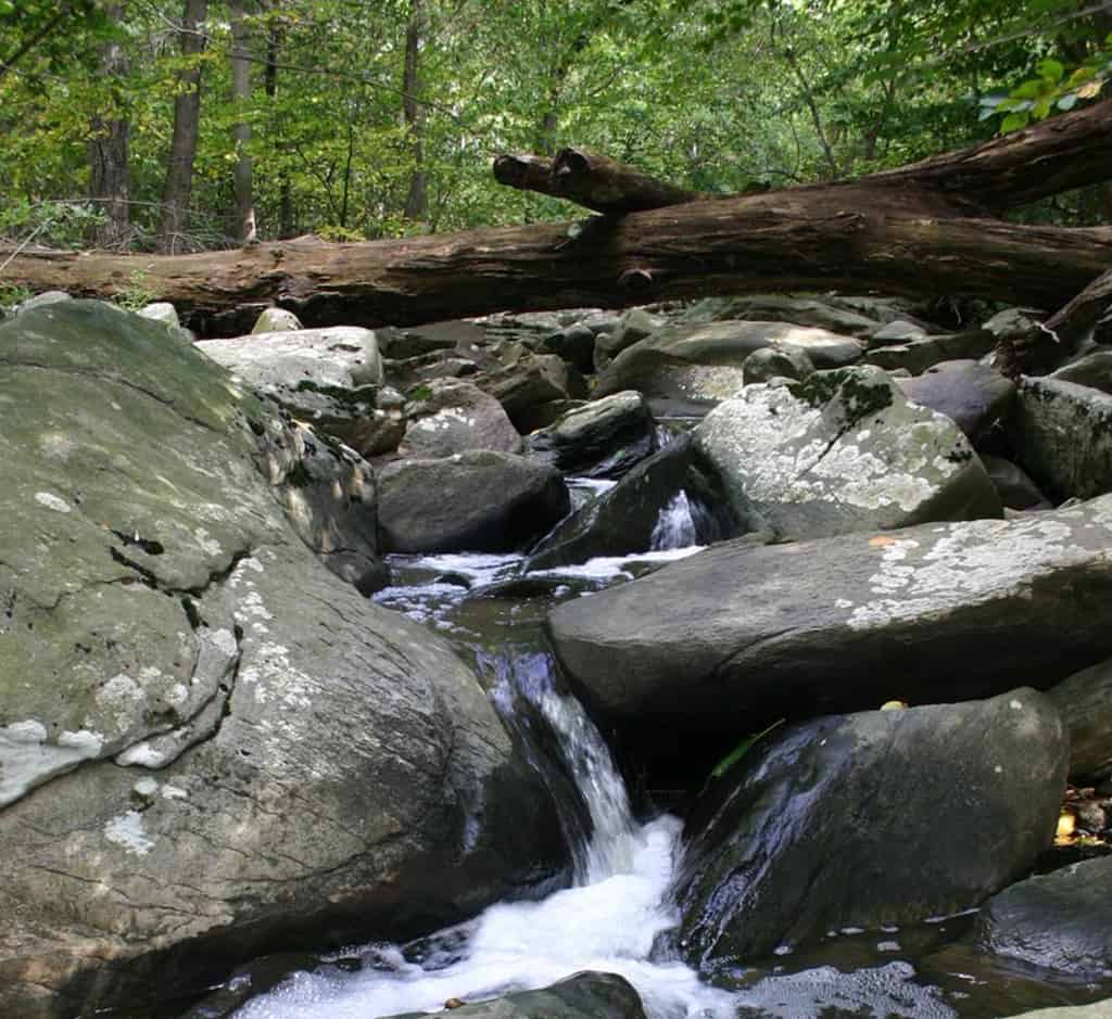 Alapocas Run State Park