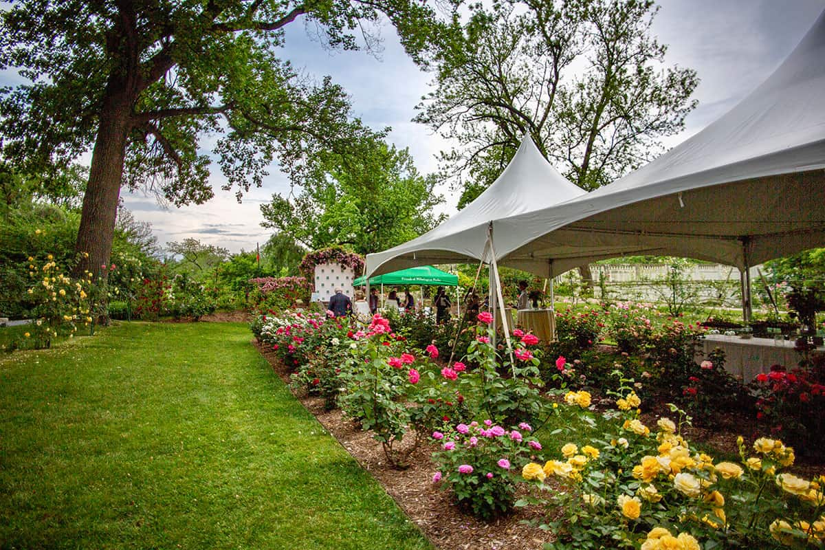 13th Annual Jasper Crane Rose Garden Party