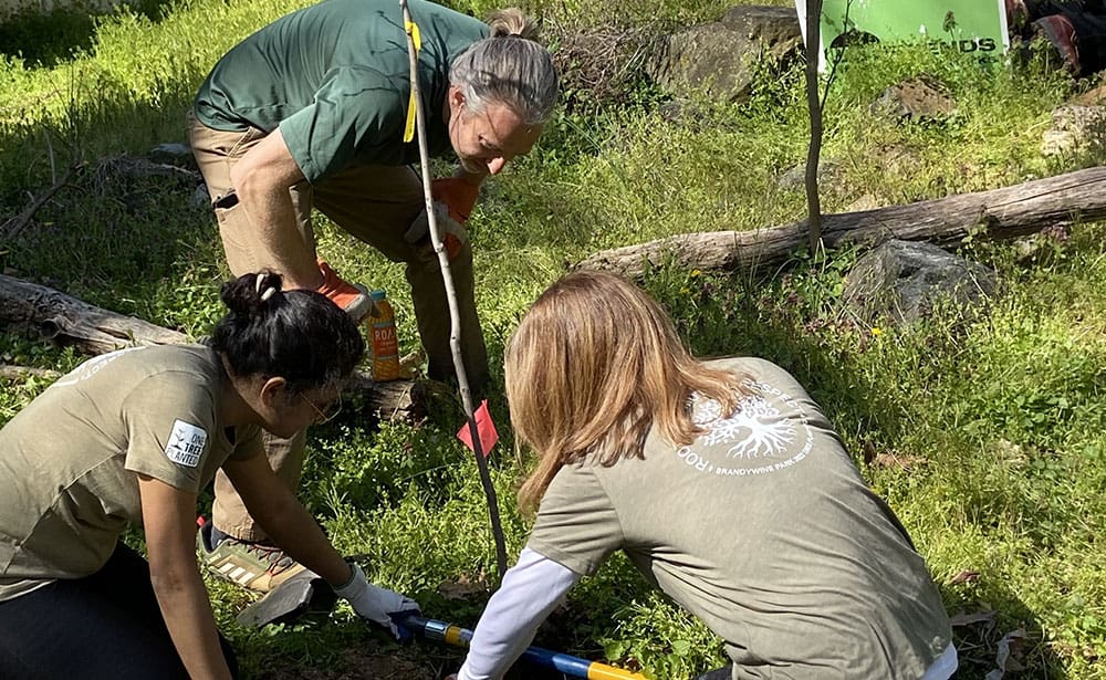 Restoring Brandywine Park Habitat