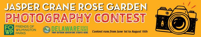 Jasper Crane Rose Garden Photography Contest